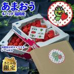 �ӂ邳�Ɣ[�� ���Ԏs �y11�����{��菇�������z���Ƃӂ����!�Ȃ����σV�[���t�u���܂���䕁v�~4�p�b�N(���Ԏs)