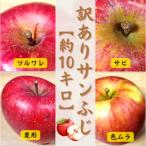 ふるさと納税 五戸町 【青森ごのへ産】 家庭用 りんご サンふじ 約10kg(訳アリ)