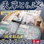 ふるさと納税 宇城市 1日25セット限定!天草とらふぐてっさ・てっちり満腹セット(2人前)(宇城市)