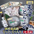 ふるさと納税 宇城市 1日25セット限定!天草とらふぐてっさ・てっちり贅沢セット(3〜4人前)(宇城市)