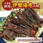 ふるさと納税 勝浦市 勝浦産　伊勢海老三昧!100〜200gサイズが1kg