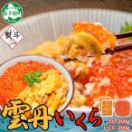 ふるさと納税 弟子屈町 【のし付】ウニ 200g&いくら醤油漬け 200g 2色丼セット 北海道 弟子屈町 3381