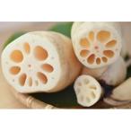 fu.... налог Tsuchiura город Suzuki сельское хозяйство .. renkon родители . подарок примерно 3kg