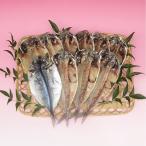 ふるさと納税 河津町 伊豆の味　かねた水産自慢の真あじの干物　10枚