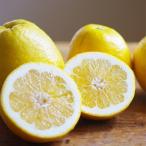 ふるさと納税 八幡浜�