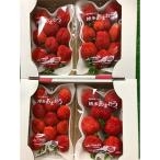 ふるさと納税 豊前市 3月以降発送　いちご【あまおう】福岡県豊前市産　270g以上×4パック