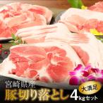 ふるさと納税 木城町 【訳あり】宮崎県産豚切落し4kg(500g×8パック) 　K16_0054_4