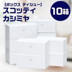 ふるさと納税 福知山市 【ボックスティッシュ】　スコッティ　カシミヤ　10箱　C25