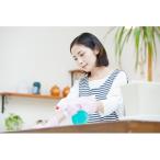 家事代行サービス 2時間