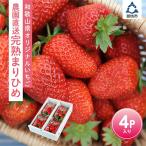 ふるさと納税 御坊市 自農園産 和歌山オリジナルいちご『完熟まりひめ』4パック《先行予約》2026年1月から順次発送