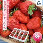 ふるさと納税 御坊市 自農園産 和歌山オリジナルいちご『完熟まりひめ』大容量8パック《先行予約》2026年4月から順次発送
