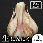 ふるさと納税 高松市 【2024年5〜6月発送・出荷最盛期企画・数量限定5000セット】加工用　生にんにく 約2kg