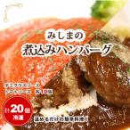 ふるさと納税 粕屋町 みしまの煮込みハンバーグ(デミグラス10個・トマトソース10個)