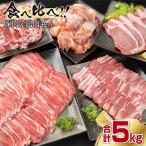 ふるさと納税 日南市 豚肉(5種)&鶏肉(1種)セット(合計5kg)