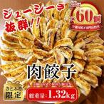 ふるさと納税 宇都宮市 餃子専門店 宇都宮悟空 22g 肉餃子60個入【さとふる限定】