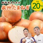 ショッピングふるさと納税 玉ねぎ ふるさと納税 泉佐野市 射手矢さんちの泉州たまねぎ 20kg G846