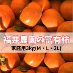 ふるさと納税 本巣市 福井農園の富有柿ご家庭用3kg(12〜14個入り)M、L、2Lサイズ