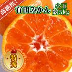 ふるさと納税 湯浅町 【先行受付】有田みかん【特秀品小玉S〜M、高糖度】5kg! 10月以降順次発送