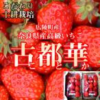 ふるさと納税 広陵町 奈良県産いちご 古都華(ことか)農家直送!2パック入り【2026年1月以降発送】