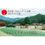 ふるさと納税 下北山村 奈良 ゴルフ 平日ペア利用券 池の平ゴルフ場 下北山村