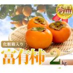 ふるさと納税 湯浅町 【湯浅町】和歌山秋の味覚 富有柿 約2kg 化粧箱入