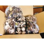 ふるさと納税 由布市 大分県由布市産 特別限定セット 生しいたけ1kg+特品しいたけ3P+干ししいたけ100g+香ぼす胡椒
