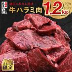 ふるさと納税 泉佐野市 秘伝の赤タレ漬け牛ハラミ肉 大容量 計1.2kg(400g×3) 010B432