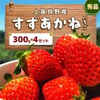 ショッピングふるさと納税 いちご ふるさと納税 上富良野町 すずあかねいちご【秀品】300g×4セット