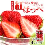 ふるさと納税 掛川市 静岡県掛川市産 ミズノ農園の完熟いちご 『紅ほっぺ』約280g×4パック