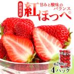 ふるさと納税 いちご 掛川市 静岡県掛川市産　ミズノ農園の完熟いちご　『紅ほっぺ』約300g×4パック