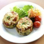 ふるさと納税 甲府市 有機豆腐と地鶏のイタリアンハンバーグ6個入り