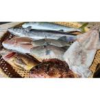 ふるさと納税 美浜町 春から初夏の鮮魚セット　2.5kg