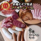 fu.... налог Hachioji город [ международный темно синий прохладный входить .] основной Германия производства закон сосиски &amp; ветчина 9 вид специальный комплект 