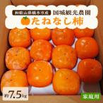 ふるさと納税 橋本市 国城観光農園のたねなし柿(家庭用・訳あり)約7.5kg
