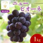 ふるさと納税 真庭市 岡山 花笑み農園の『ニューピオーネ』1kg(2房) P-1【9月上旬〜順次発送】