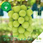 ふるさと納税 真庭市 岡山 花笑み農園の 『シャインマスカット』1kg(2房) S-1【9月下旬〜順次発送】