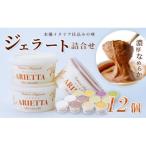 ふるさと納税 秦野市 イタリア仕込みの味!「アリエッタ デル ジェラート」のジェラート詰合せ(12個入)