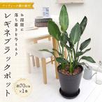 ふるさと納税 久御山町 レギネブラックポット