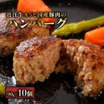ふるさと納税 彦根市 近江牛A5と国産豚肉の手ごねハンバーグ10個入