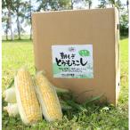 fu.... tax Asahikawa city [ preceding acceptance ].. length corn 5kg(11~13ps.@)_02203