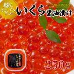 ショッピングふるさと納税 いくら ふるさと納税 旭川市 令和5年産新物【化学調味料無添加・職人仕込み】イクラしょうゆ漬け　250g_00583