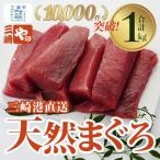 ふるさと納税 三浦市 老舗三崎まぐろ問屋から直送!新鮮天然マグロ赤身1kg