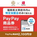 PayPay商品券 2 100円分