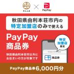 PayPay商品券 6 000円分