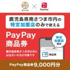 PayPay商品券 9 000円分