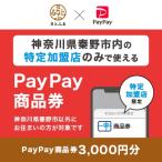 PayPay商品券 3 000円分