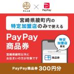 ふるさと納税 綾町 宮崎県綾町　PayPay商品券(300円分)※地域内の一部の加盟店のみで利用可