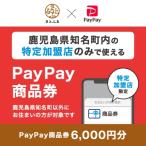 PayPay商品券 6 000円分