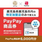 ふるさと納税 鹿児島市 鹿児島県鹿児島市　PayPay商品券(6,000円分)※地域内の一部の加盟店のみで利用可