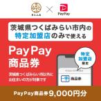 PayPay商品券 9 000円分